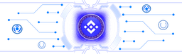 BEP20 Blockchain Visual